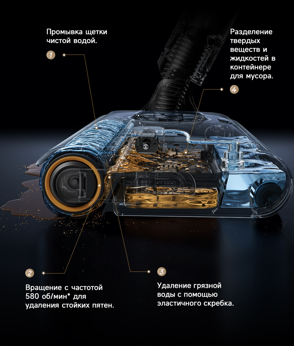z20
